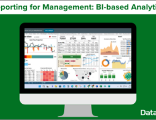 Reporting for Management: BI-based Analytics