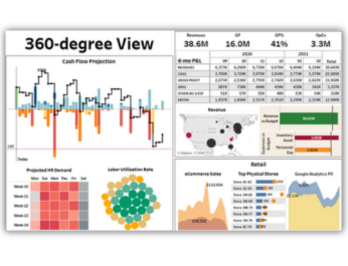 DataSelf ‘360’ Dashboard:  Serving Executives Bites of Business Insight